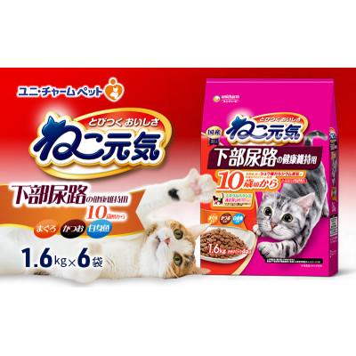 ふるさと納税 伊丹市 ねこ元気 下部尿路の健康維持用 10歳頃から まぐろ・かつお・白身魚入り[54030483]