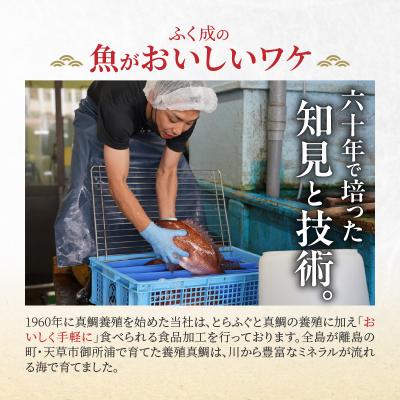 ふるさと納税 天草市 【Firesh】一人暮らし応援!真鯛のお手軽セット(鯛のピザ・醤油漬け)_S106-029 |  | 02