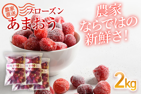 フローズンあまおう2kg(500g×4袋) 冷凍イチゴ いちご 苺  BD11