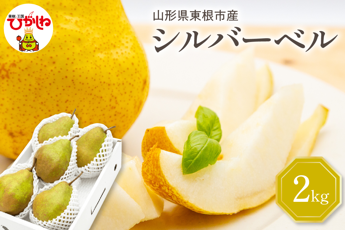 【令和7年産 先行予約】西洋梨シルバーベル2kg 山形県 東根市 東根農産センター提供 hi027-200-2