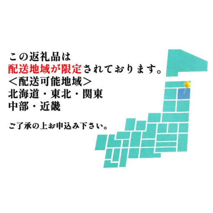 生わさび(Lサイズ) 1本70g以上のもの確約 2本セット 【安比清流山葵園】 ／ 山葵 ワサビ 薬味 新鮮 産地直送