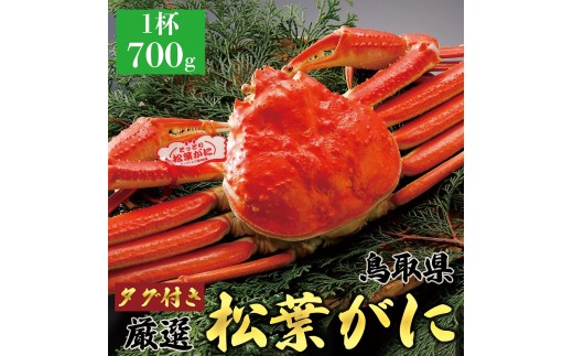 765.【ボイル】【2027年1月～2027年3月発送】 特撰 松葉がに【ブランドタグ付き】（700g超×1杯）【ブランド 蟹 タグ付き 生 ナマ かに 松葉ガニ 松葉蟹 訳あり カニ味噌 みそ 家庭用 鳥取県産 北栄町 おすすめ 人気】