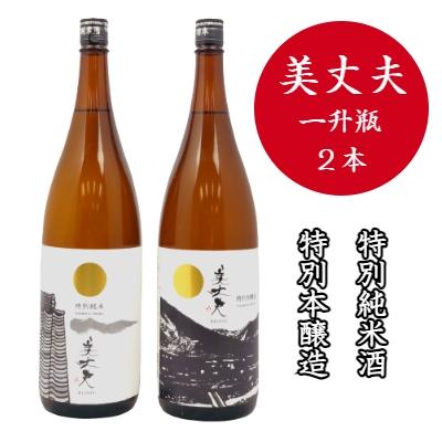 ふるさと納税 田野町 【四国一小さなまちの地酒】 美丈夫 『特別本醸造』+『特別純米酒』 セット(一升瓶)