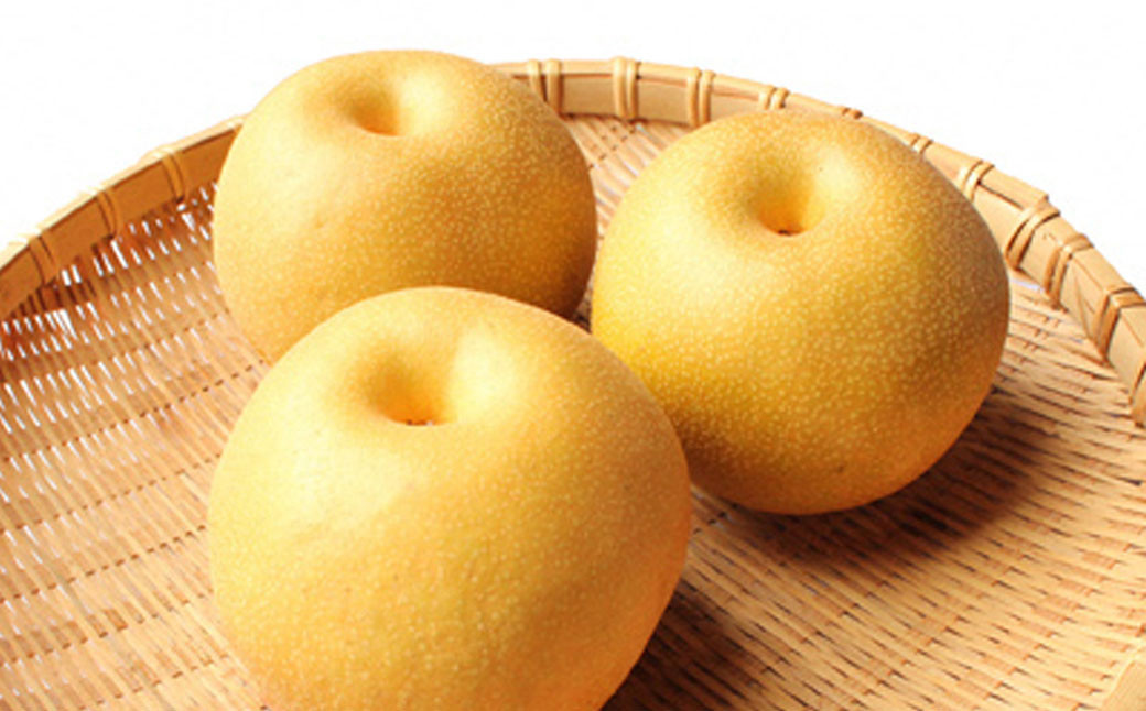永楽果樹園 梨 約3kg