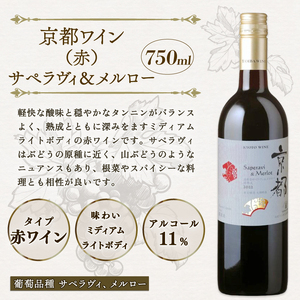 赤白ワイン飲み比べ 2本セット 丹波ワインセット ワインセット2本 ワインセット赤白 京都ワインセット 国内醸造ワインセット