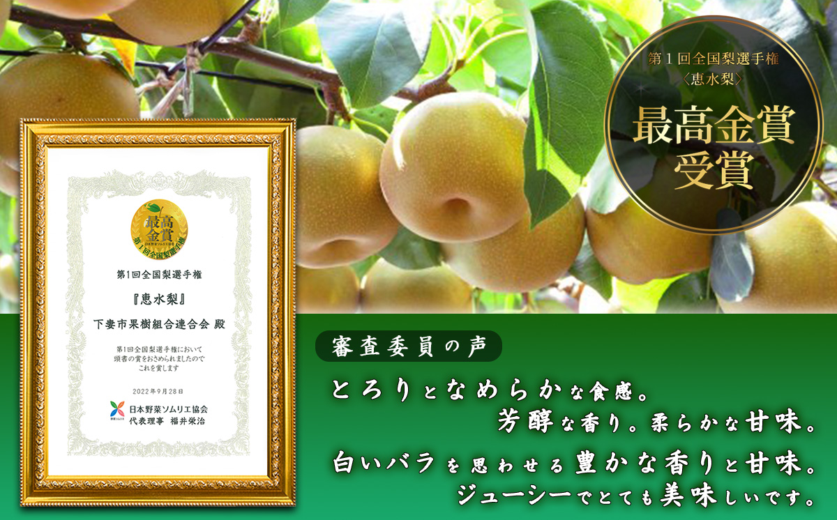 【第１回全国梨選手権 最高金賞受賞‼】茨城県産「恵水」梨5kg【2026年8月下旬～9月中旬にかけて発送予定】【 梨 恵水 なし フルーツ 果物 秋の味覚 デザート 茨城県産 甘い 選手権 最高金賞 