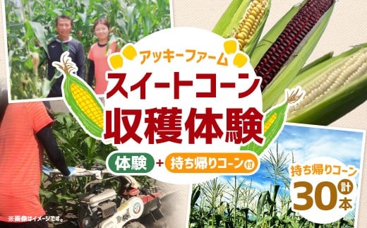 F6 アッキーファーム スイートコーン収穫体験 （スイートコーン30本込み） とうもろこし トウモロコシ 野菜 やさい 農作物 農業 体験 チケット 商品券 施設利用券 福岡県産 国産 福岡県 みやま市