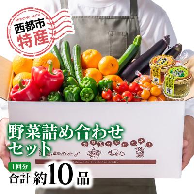 ふるさと納税 西都市 【先行受付】農家直送新鮮野菜と柚子こしょう詰め合わせセット[2607]