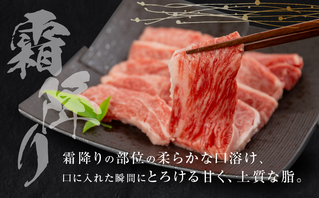飛騨牛 焼肉 切り落とし 500g × 2 計 1kg | 牛肉 肉 切落し わけあり 訳あり商品 ワケアリ 不揃い 小分け 切り落とし小分け 冷凍 すぐ届く 本巣市 トキノ屋 食品 訳有 焼肉セット