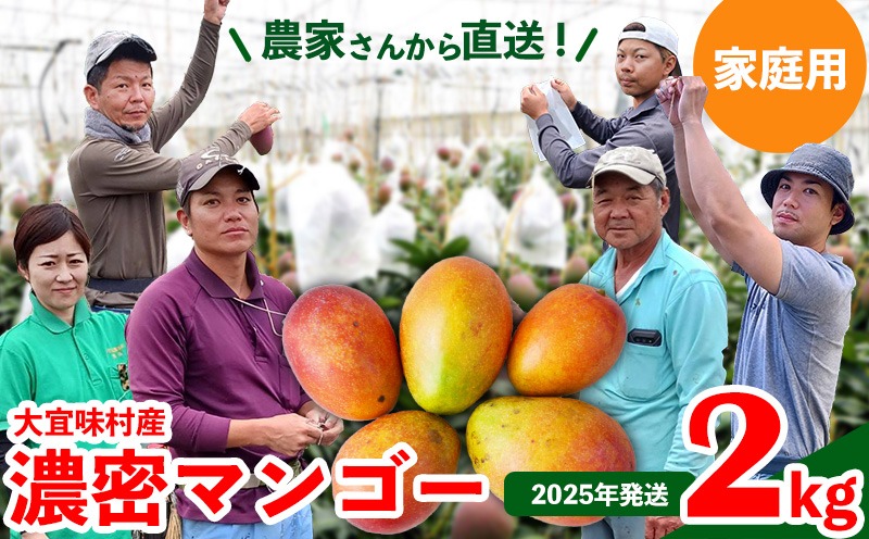 【2025年発送】ご家庭用！濃密マンゴー《家庭用・2kg以上》農家さんより直送！ 家庭用 先行予約 沖縄 甘味 糖度 濃厚 おいしい お土産 まんごー アーウィン 果物 くだもの 果実 送料無料 ふるさと納税 ２キロ トロピカル 箱入り 食べ物 フルーツ