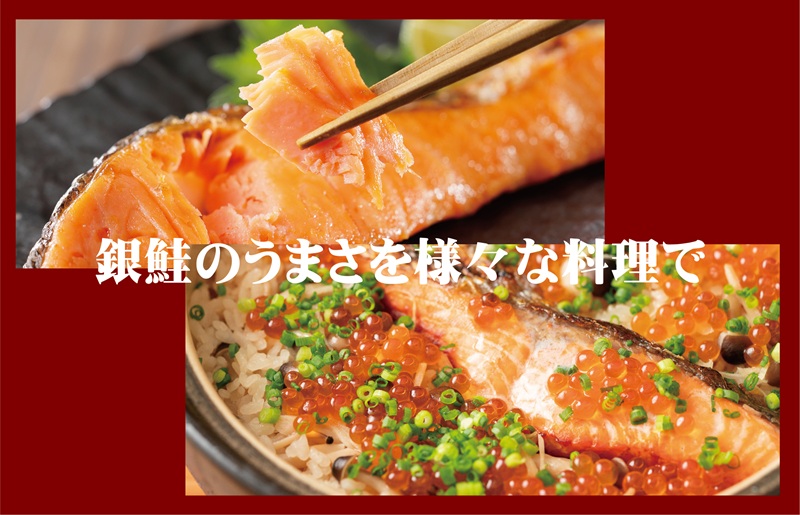 漁師が目利きした銀鮭 切り身 合計1kg 【サイズ不揃い 海鮮 魚介 さけ しゃけ お弁当 簡単調理】