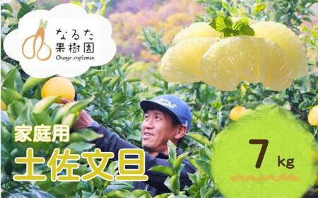 成田果樹園 の 土佐文旦 7kg 文旦 大玉 家庭用 ぶんたん [1686-2]