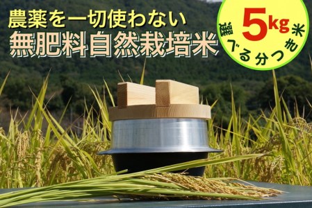 米 令和6年産【胚芽を残した精米】自然栽培米 にこまる ＜農薬を一切使わない無肥料栽培＞ 分つき米5kg・精米したて 《新米 京都丹波産 無農薬米栽培向き 厳選品種》 ※2024年10月中旬頃より順次発送予定