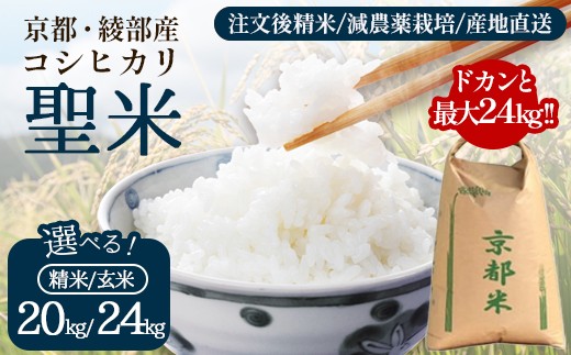 
                  業務用 京都府産コシヒカリ 聖米 玄米/精米 20kg/24kg 【米 お米 玄米 精米 白米 京都府産 ごはん こめ 国産 大容量 まとめ買い 京都府 京都 綾部市 】 
                