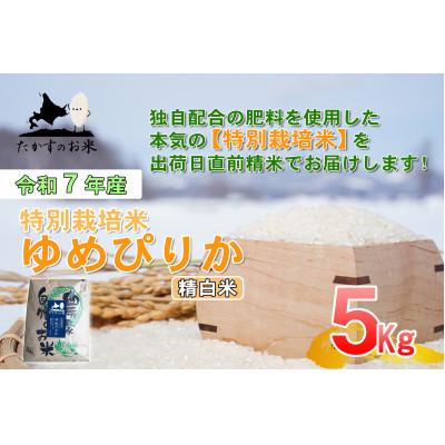 ふるさと納税 鷹栖町 令和7年産予約 たかすのお米 特別栽培米 ゆめぴりか 5kg(精白米)