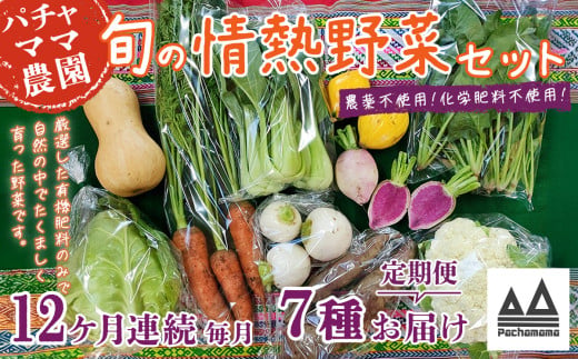 【 12ヶ月連続お届け 】 農園自慢の情熱野菜セット （ 7品 ）【 野菜 詰め合わせ お任せ 季節物 定期便 セット 山芋 パセリ わさび菜 ポップコーン かぶ 人参 里芋 たまねぎ 玉ねぎ ルッコ