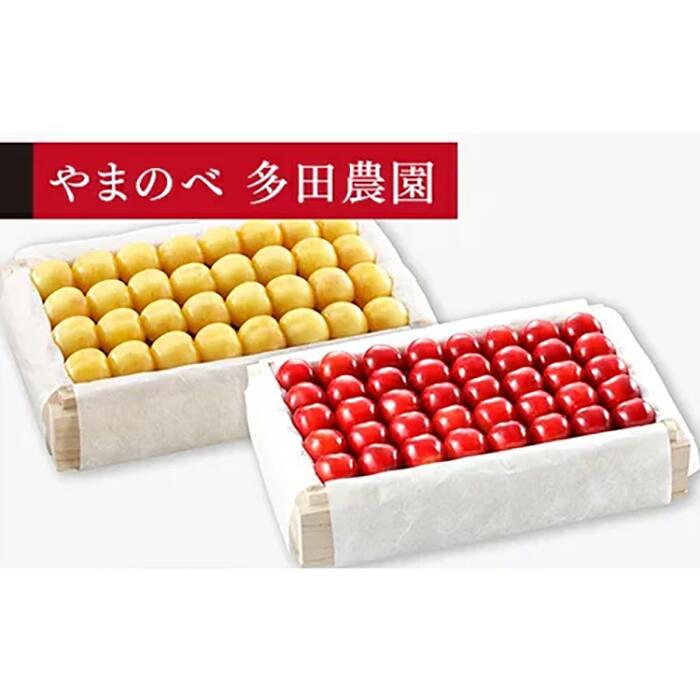 【ふるさと納税】《2026年先行予約》【月山錦・紅秀峰】特選桐箱詰 約700g×2【やまのべ多田耕太郎のさくらんぼ 多田農園】期間限定 数量限定 数量限定 山形県産 サクランボ フルーツ 果物 くだもの 贈答 山形県産 サクランボ フルーツ 果物 くだもの 贈答 F4A-0005