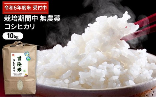 
                  令和6年産 栽培期間中無農薬コシヒカリ 10kg お米 精米 白米 玄米 ブランド米 銘柄米 ご飯 おにぎり お弁当 和食 産地直送 粘り 香り 旨み つや
                