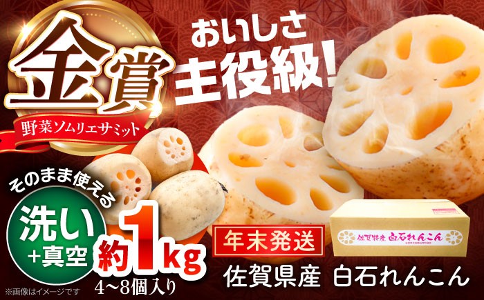 
            【先行予約】【年末発送】【真空れんこん】＜野菜ソムリエサミット金賞受賞＞松尾青果のこだわり白石れんこん 約1kg （4-8個入り）【松尾青果】 佐賀県産 農家直送 直送 白石れんこん レンコン 蓮根 根菜 野菜 白石町産 高品質 九州 佐賀県 白石町 [IBD018]
          
