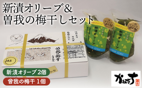 
No.076 新漬オリーブ＆曽我の梅干しセット【かねきち】 ／ グリーンオリーブ 曾我梅林 整腸作用 醗酵食品 湘南 神奈川県 特産品
