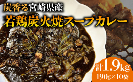 炭香る宮崎県産若どり炭火焼スープカレー【190g×10袋 計1.9kg】 カレー スープカレー レトルト