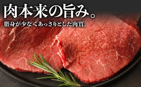 【年内お届け】【国産黒毛和牛】赤身ステーキ 100g×6枚≪2025年12月15日～31日お届け≫_MJ-E905-HNY