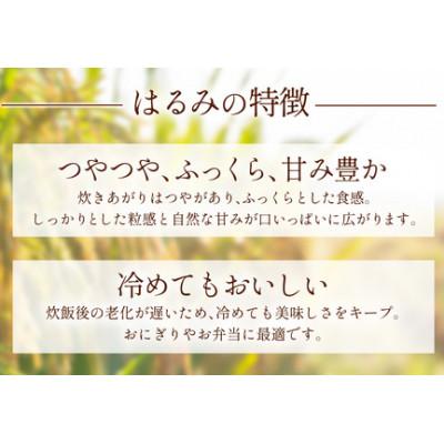 ふるさと納税 伊勢原市 【毎月定期便】合計30kg 精米 はるみ 10kg 加藤さんちのうんめぇ米全3回 |  | 01