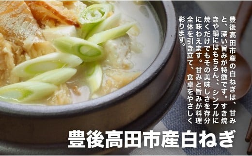 【先行予約】産地直送・新鮮！甘くて美味しい白ネギ (3kg前後) 西日本トップクラスの産地・大分県豊後高田市産 広大な干拓で育ったミネラル豊富な白ねぎ ネギ ねぎ 長ネギ 鍋 野菜 149977bt1