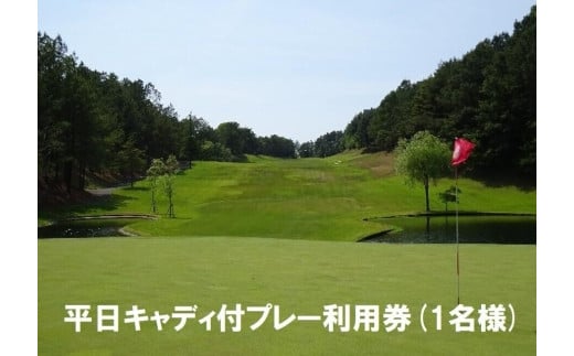 
【ゴルフ利用券】エリエールゴルフクラブ松山 平日キャディ付プレー利用券１名
