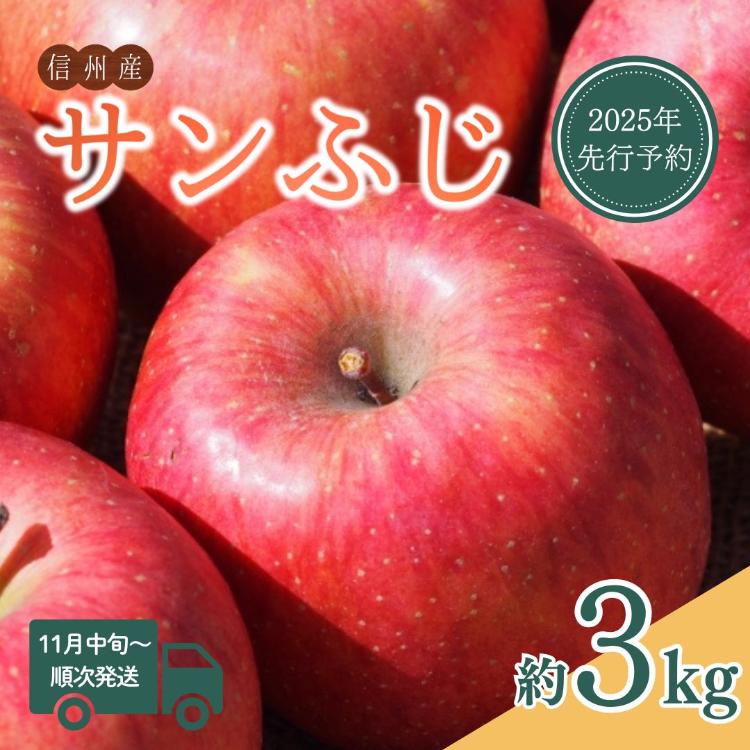 【ふるさと納税】 【2025年先行予約】【11月中旬~発送予定】サンふじ 約3kg | りんご 林檎 リンゴ ふじ サンふじ 長野県 千曲市 信州りんご