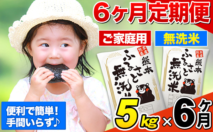 【6ヶ月定期便】熊本ふるさと無洗米 5kg 訳あり《お申込み月の翌月から出荷開始》 熊本県産 無洗米 5kg×1袋---mifune_lcl_114_mo6num1---