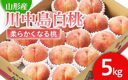 山形市産 桃「川中島白桃」 秀以上 5kg(13玉～18玉)[柔らかく