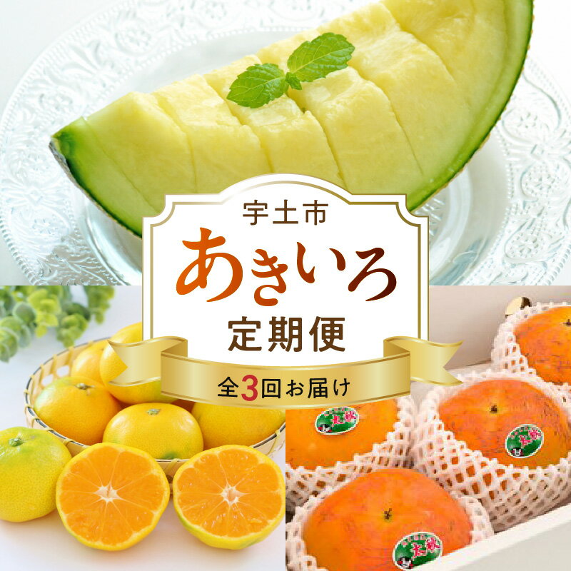【ふるさと納税】あきいろ定期便 3ヶ月 極早生みかん 約5kg 太秋柿 約2kg 高級 アールスメロン 1玉 フルーツ みかん 爽やか 甘酸っぱい 柑橘 柿 甘柿 上品 メロン ジューシー 果物 秋 味覚 旬 お取り寄せ お取り寄せフルーツ 送料無料 【熊本県宇土市】
