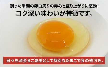 【黄身がつかめる！ブランド卵】TOCO-tori EGG おうち贅沢ボックス 卵 20個入 高級卵 たまご 五島市 / 五島列島大石養鶏場 [PFQ002] 卵 鶏卵 たまご タマゴ 玉子 卵 鶏卵 