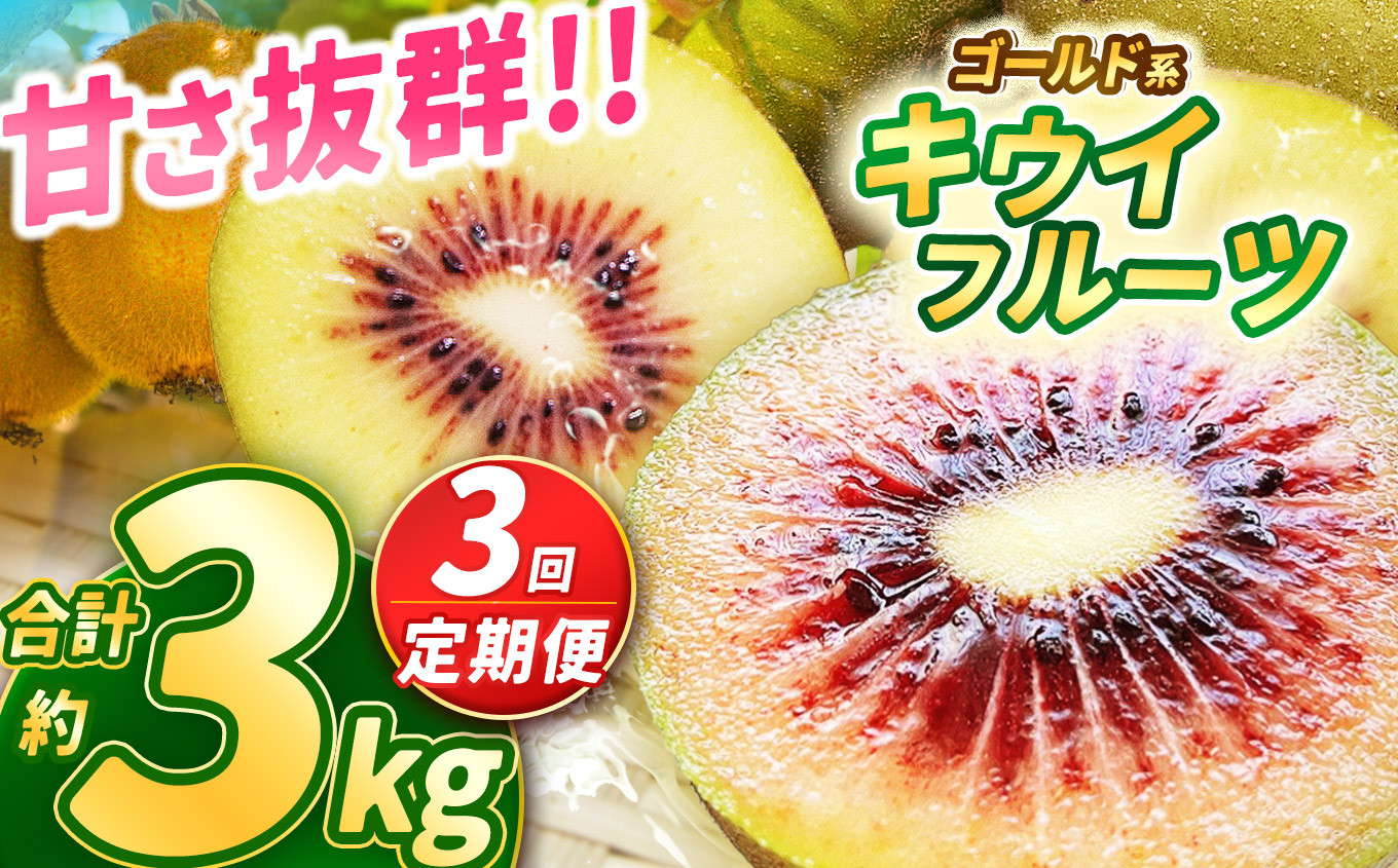 
                  【先行予約】【定期3回】完熟 甘さ抜群のゴールド系 キウイフルーツ 1kg | 果物 くだもの フルーツ 野菜 やさい ヤサイ キウイ きうい ゴールドキウイ ごーるどきうい 新鮮 フレッシュ 甘い 美味しい フルーツ デザート 栃木県 那珂川町 送料無料
                
