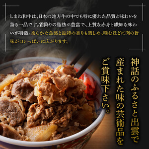 藤増 しまね和牛小間切り 600ｇ【冷凍】
