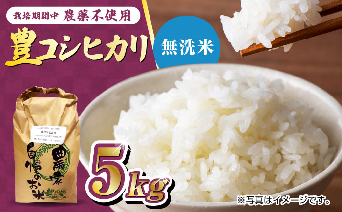 【11月以降順次発送】栽培期間中農薬不使用 令和6年産 新米 豊コシヒカリ 精米（無洗米） 5kg 武雄市/鶴ノ原北川農園 [UDL018]