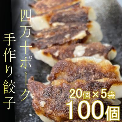 ふるさと納税 室戸市 ヤマジュウの特選!四万十ポーク手作り餃子100個