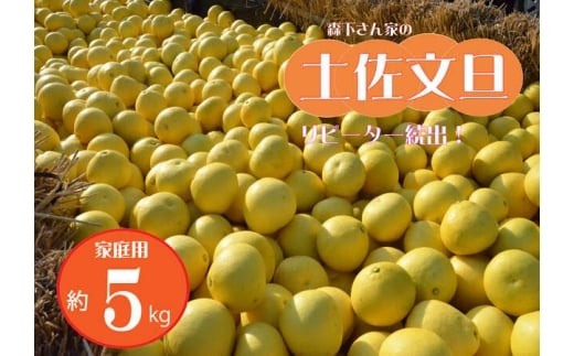 
                  【先行予約 2027年2月～発送】森下さん家の土佐文旦 5kg 家庭用 フルーツ 果物 柑橘 ぶんたん 産地直送 高知県
                