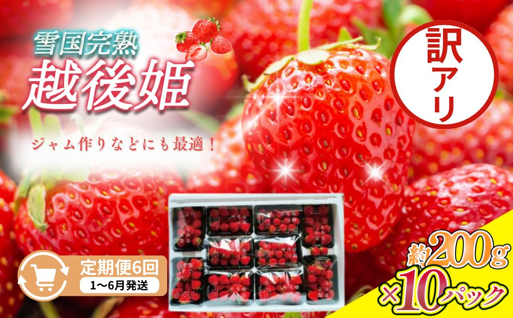 
            定期便 6回【1～6月発送】訳あり越後姫 約200g×10定期配送 越後姫 えちごひめ 苺 いちご 訳あり 新潟
          