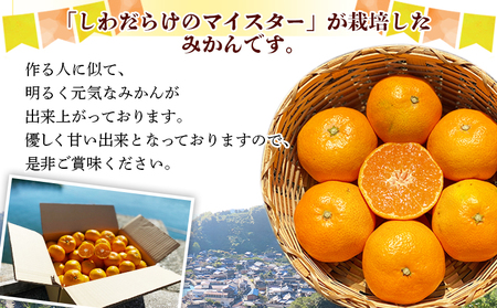 愛媛県明浜産「皮より中身」みかん（10㎏）