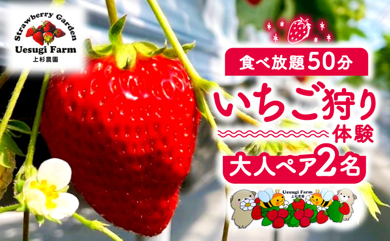 
            【2026年1月～発送】 上杉農園のいちご狩り 大人 2人 ペア 利用券 50分食べ放題 いちご狩り いちご イチゴ 苺 チケット 体験 観光 旅行 家族 デート フルーツ 果物 上杉農園 京都 八幡
          