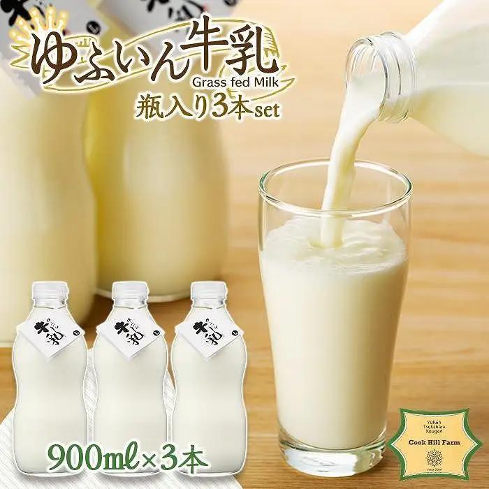 【定期便 全4回】からだにやさしい　ゆふいんの牛乳・ベーグル・ブルーベリーソースなど～ゆふのワクワクセット（２）～