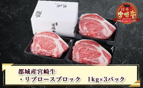 都城産宮崎牛リブロースブロック3kg_DI-2501