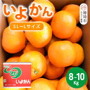 【ふるさと納税】【2026年1月上旬より発送開始】いよかん 8～10kg(3L～Lサイズ)【みかん 柑橘 フルーツ デザート】(H116141)