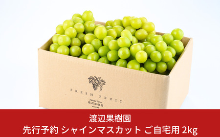 先行予約 シャインマスカット ご自宅用 2kg 令和8年度 渡辺果樹園