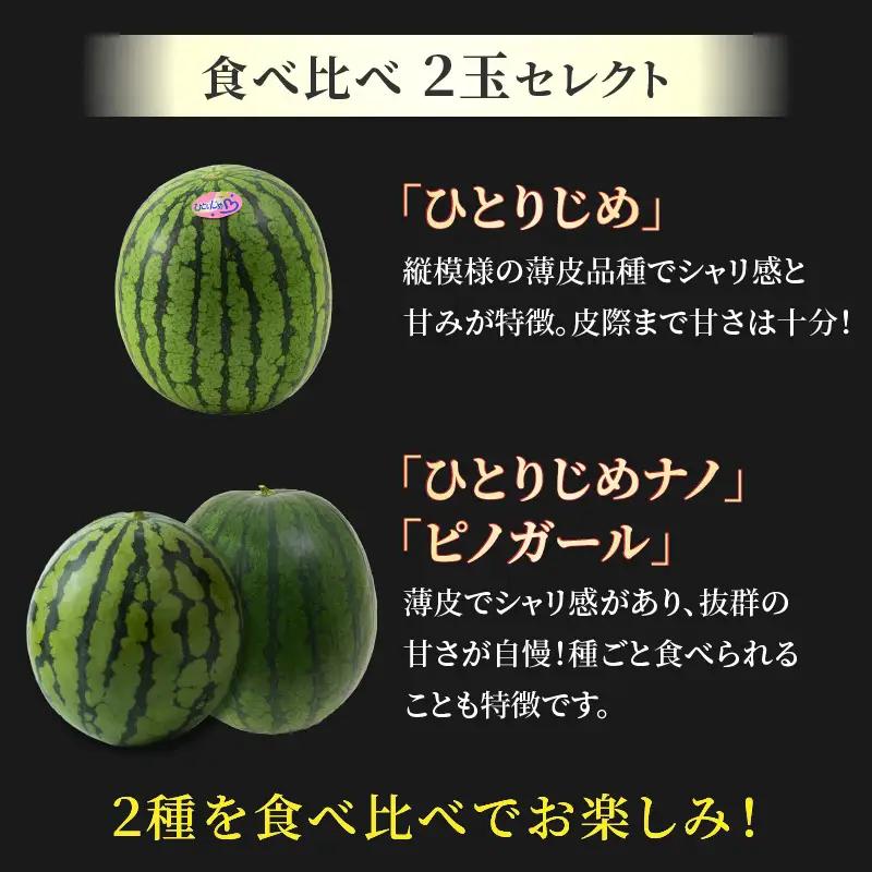 【先行予約】抜群の甘さ！佐藤農園の小玉スイカ 食べ比べセット(ひとりじめ+ひとりじめナノまたはピノガール) 2玉（計3kg以上）／ 秀品 農家直送 有機肥料 低農薬 ※2027年5月下旬～6月末の間に