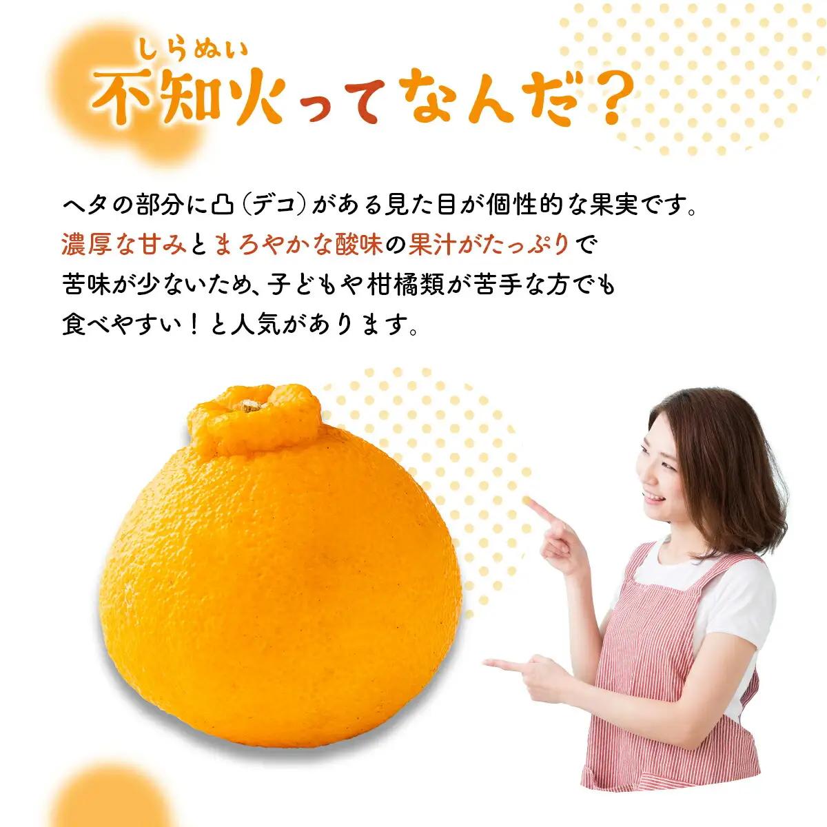 【 不知火 】訳あり 不知火 約 3kg dp007