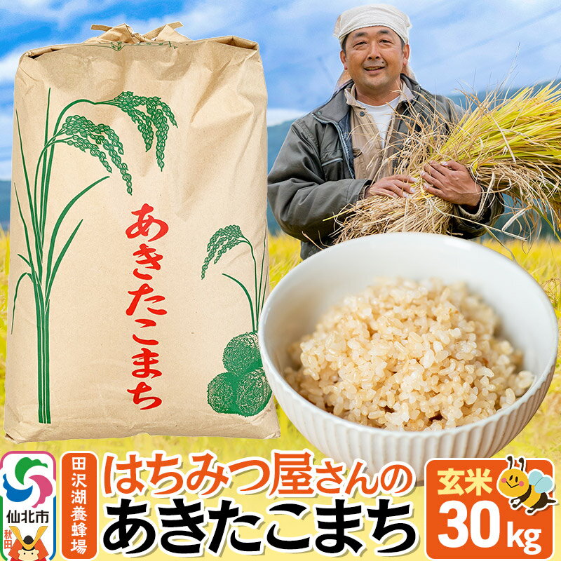 【ふるさと納税】【玄米】令和7年産 新米 先行受付 秋田県産 あきたこまち 30kg お米 仙北市 30キロ 田沢湖養蜂場