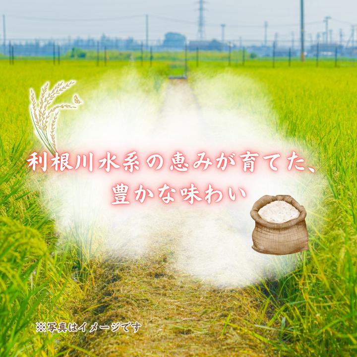 【3ヵ月定期便】利根町産コシヒカリ　精米5kg×3回 ／ 米 こめ コメ お米 おこめ コシヒカリ こしひかり 令和7年産 新米 白米 精米 ご飯 ごはん 5kg 定期便 送料無料